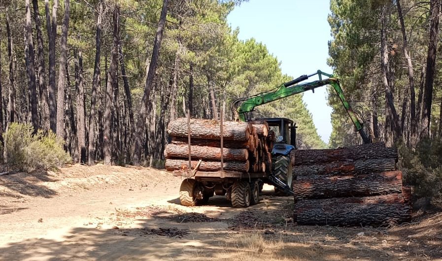 Zamora Viva denuncia el uso de maquinaria forestal en el monte de Perilla durante la alerta de riesgo de incendios.